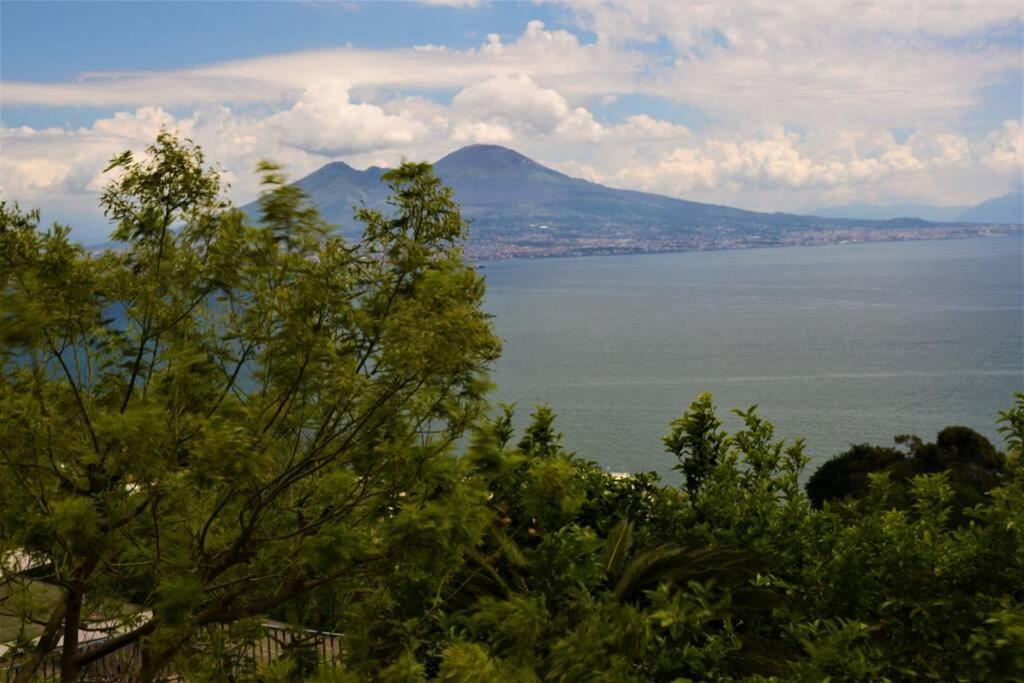 Posillipo Il Nido Sul Mare Appartement